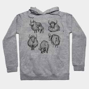 Sketches of a Yak Hoodie